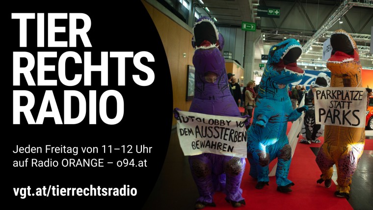 Bild zu dieser Radiosendung