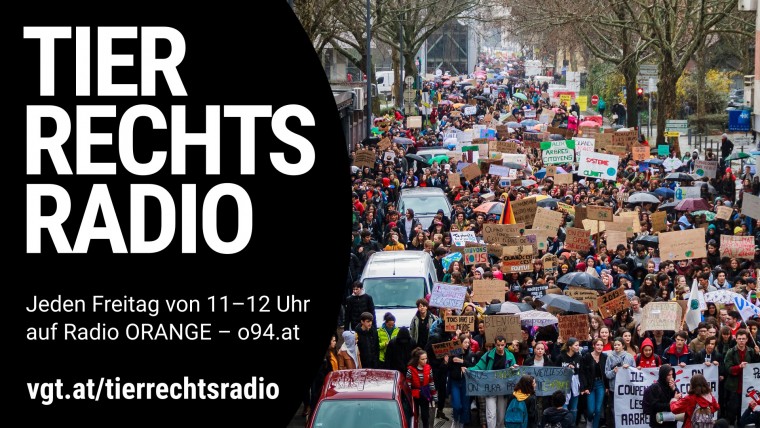 Bild zu dieser Radiosendung
