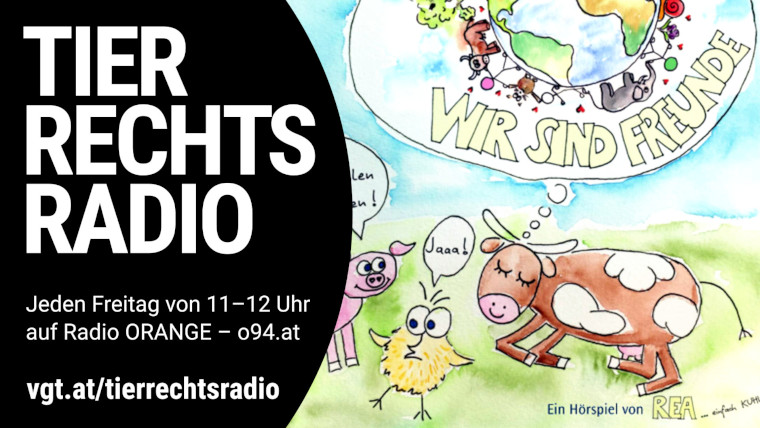 Bild zu dieser Radiosendung