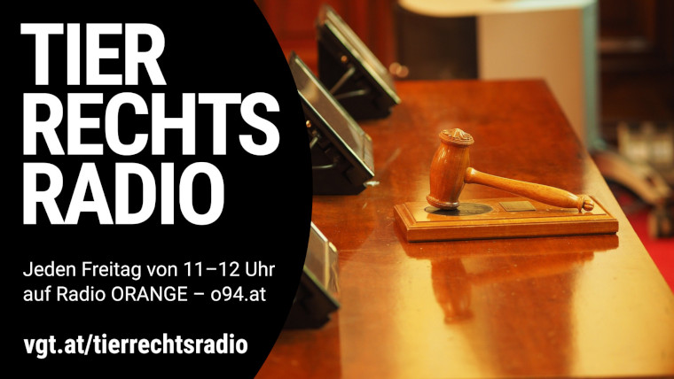 Bild zu dieser Radiosendung