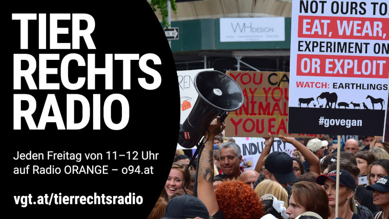 Bild zu dieser Radiosendung