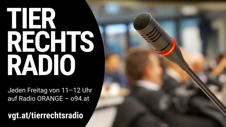 Bild zu dieser Radiosendung