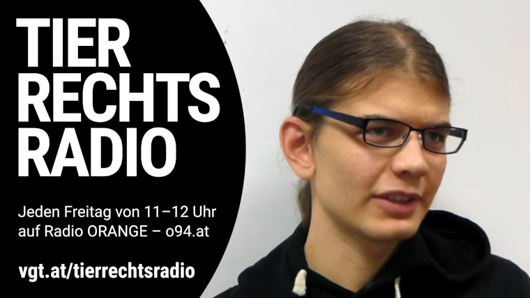 Bild zu dieser Radiosendung