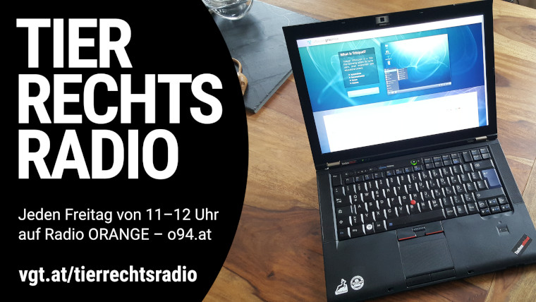 Bild zu dieser Radiosendung