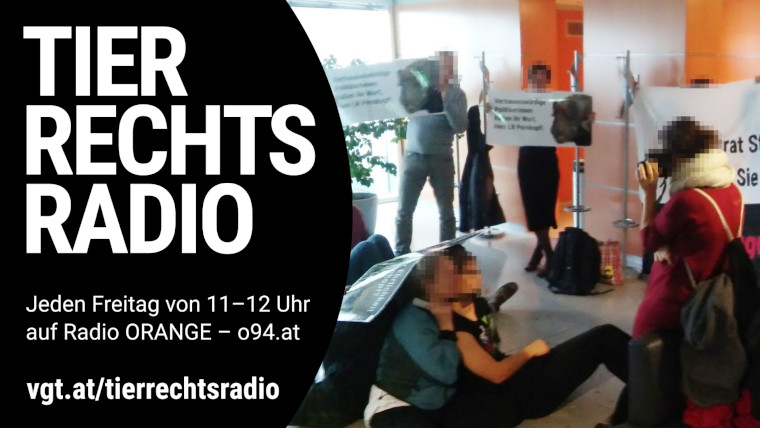 Bild zu dieser Radiosendung