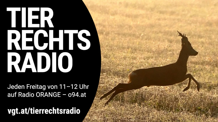 Bild zu dieser Radiosendung