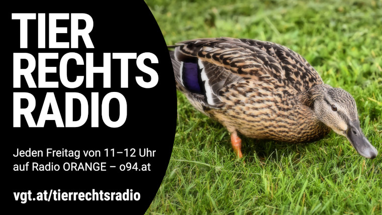 Bild zu dieser Radiosendung