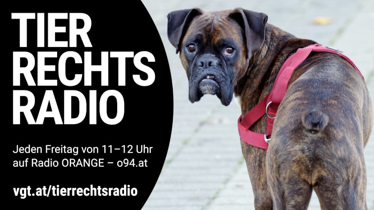 Bild zu dieser Radiosendung