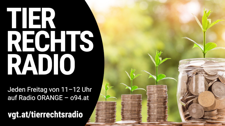 Bild zu dieser Radiosendung
