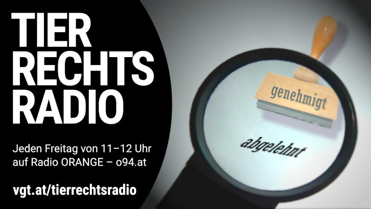 Bild zu dieser Radiosendung