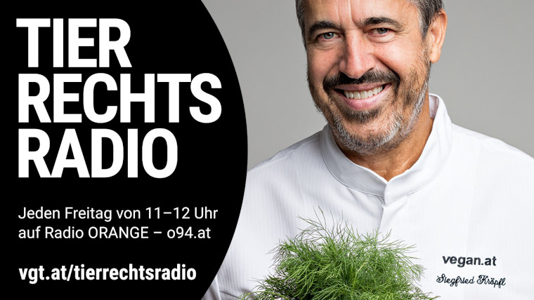 Bild zu dieser Radiosendung
