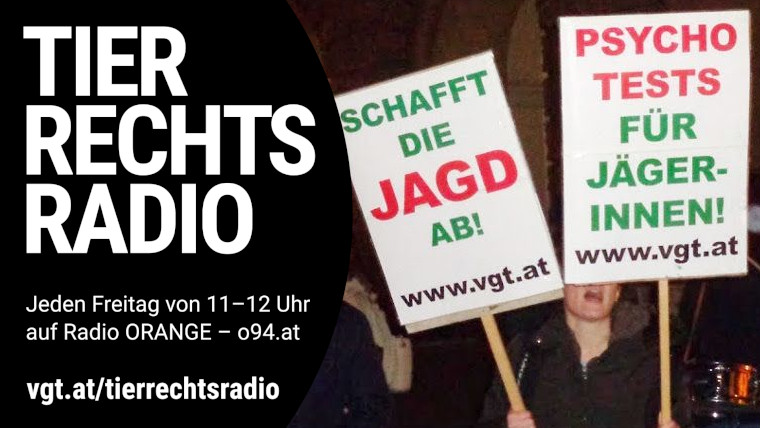 Bild zu dieser Radiosendung