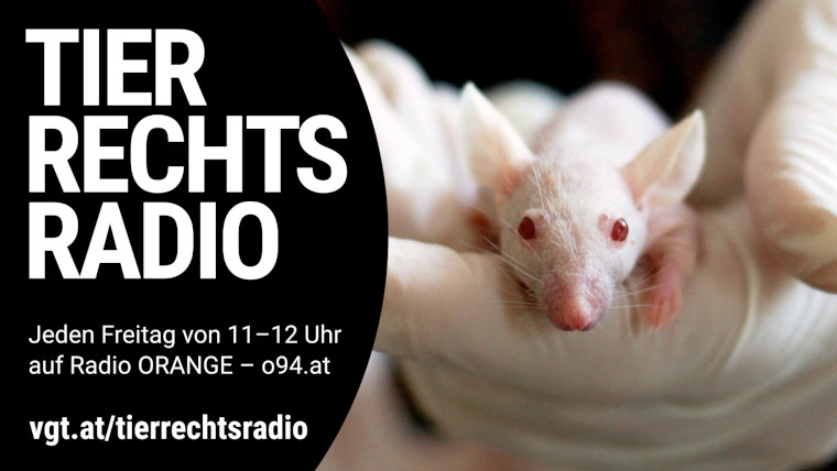 Bild zu dieser Radiosendung