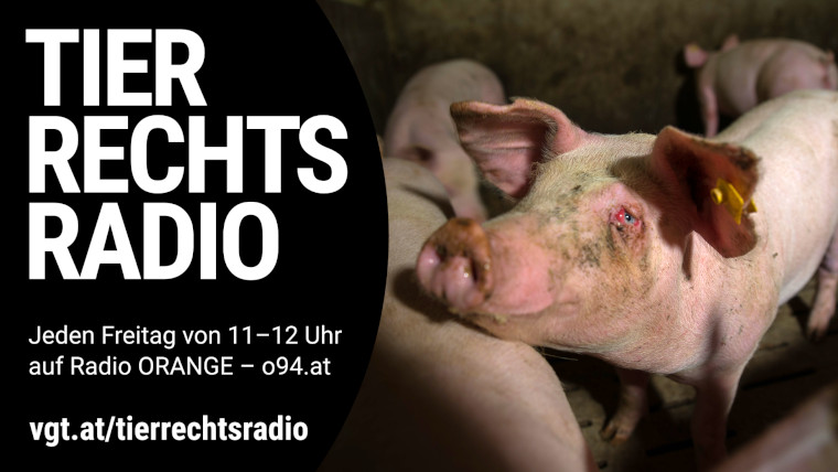 Bild zu dieser Radiosendung