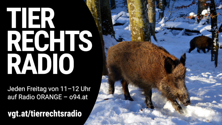 Bild zu dieser Radiosendung