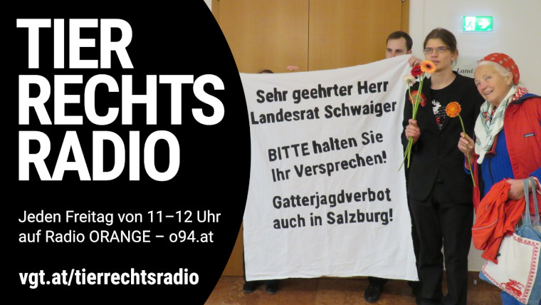 Bild zu dieser Radiosendung