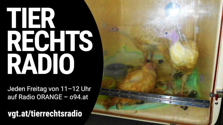 Bild zu dieser Radiosendung