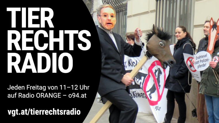 Bild zu dieser Radiosendung