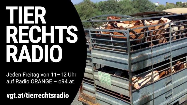 Bild zu dieser Radiosendung