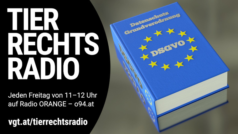 Bild zu dieser Radiosendung