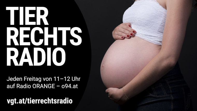 Bild zu dieser Radiosendung