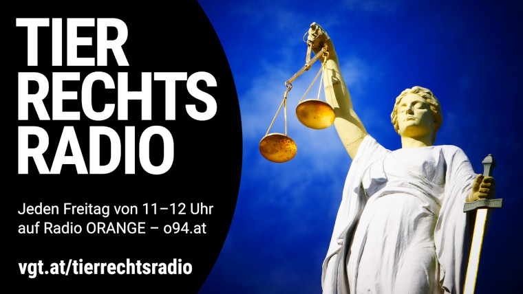 Bild zu dieser Radiosendung