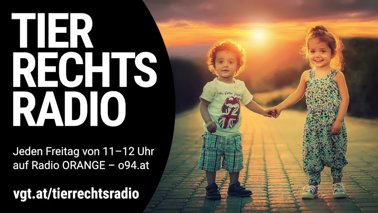 Bild zu dieser Radiosendung