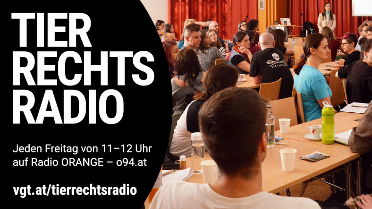 Bild zu dieser Radiosendung