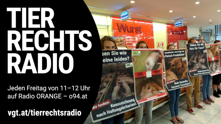 Bild zu dieser Radiosendung