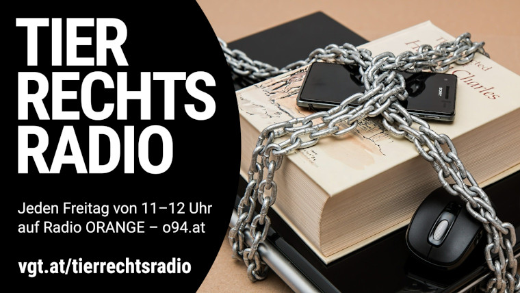 Bild zu dieser Radiosendung