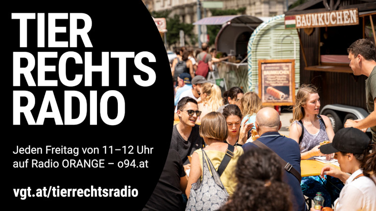 Bild zu dieser Radiosendung