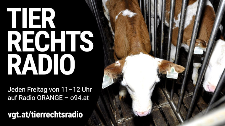 Bild zu dieser Radiosendung