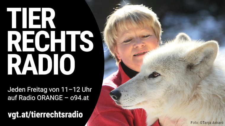 Bild zu dieser Radiosendung