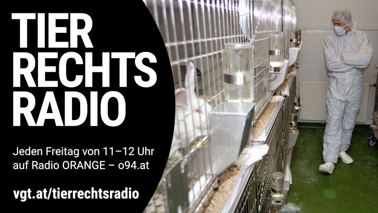 Bild zu dieser Radiosendung