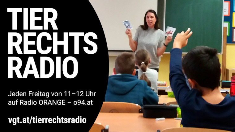 Bild zu dieser Radiosendung