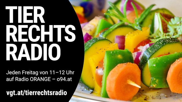 Bild zu dieser Radiosendung