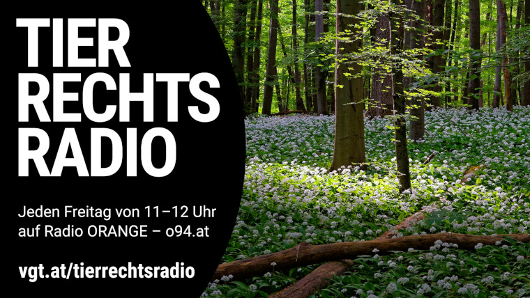 Bild zu dieser Radiosendung