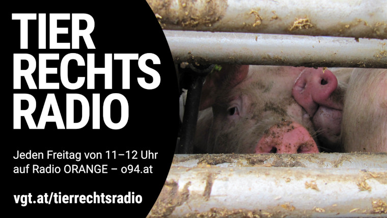 Bild zu dieser Radiosendung