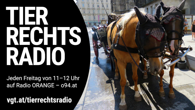 Bild zu dieser Radiosendung