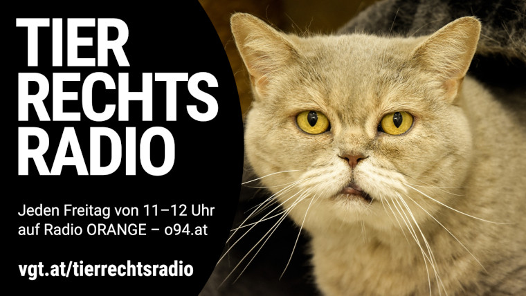 Bild zu dieser Radiosendung