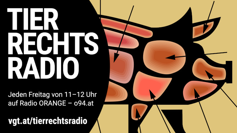 Bild zu dieser Radiosendung