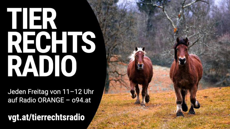 Bild zu dieser Radiosendung