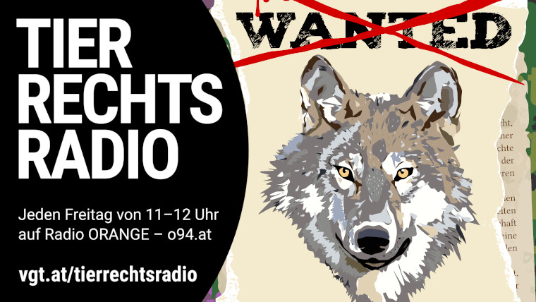 Bild zu dieser Radiosendung