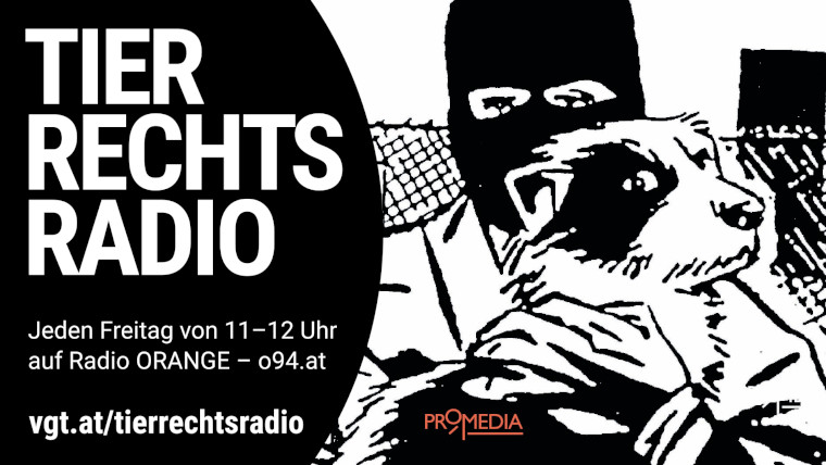 Bild zu dieser Radiosendung