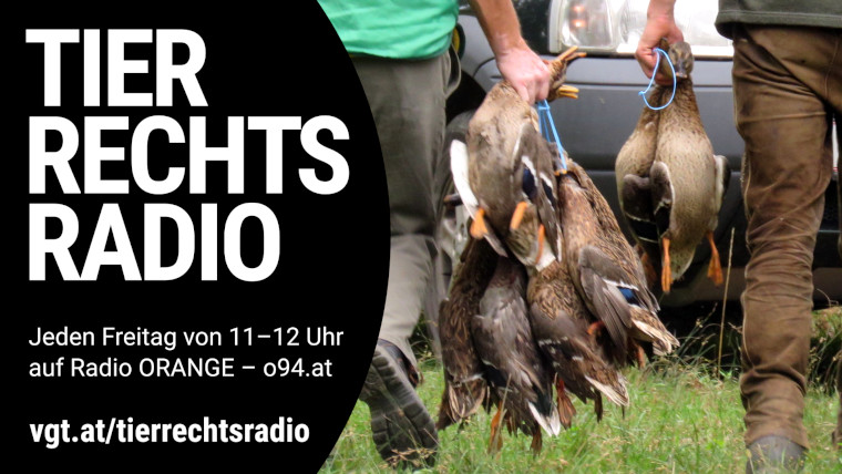 Bild zu dieser Radiosendung