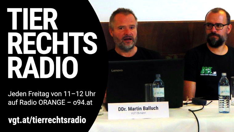 Bild zu dieser Radiosendung