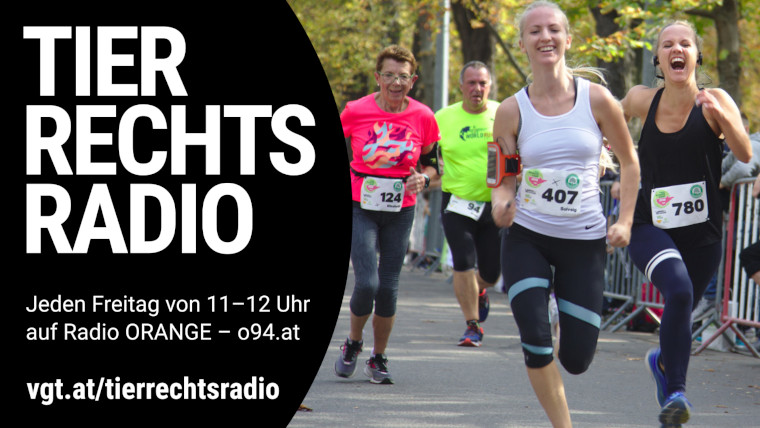 Bild zu dieser Radiosendung