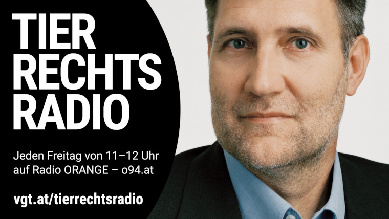 Bild zu dieser Radiosendung
