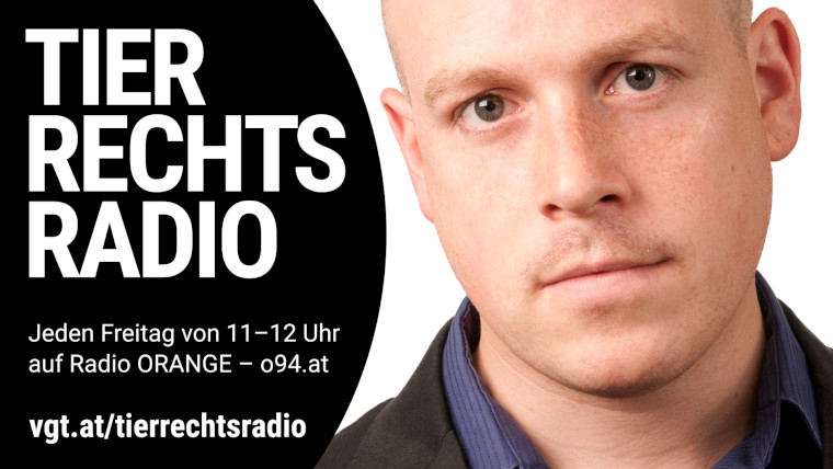 Bild zu dieser Radiosendung