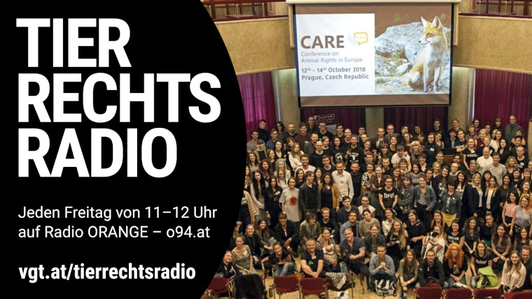 Bild zu dieser Radiosendung